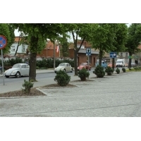 fot.Artek 340