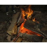 fot.Artek 049