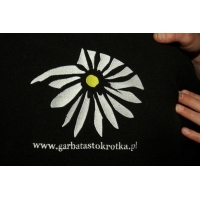 fot.Artek 056