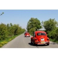 fot.Artek 080