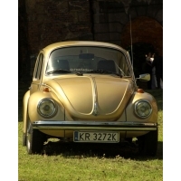 fot.Artek 210