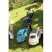 fot.Artek 226