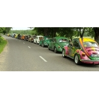 fot.Artek 245
