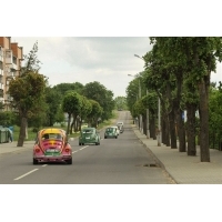 fot.Artek 287