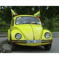 fot.Artek 307