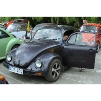 fot.Artek 308