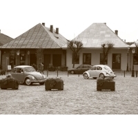 fot.Artek 799.jpg