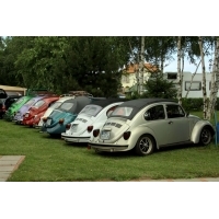 fot.Artek 304