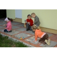 fot.Artek 317