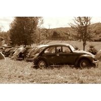 fot.Artek 034