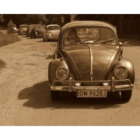 fot.Artek 125