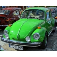 fot.Artek 252