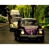 fot.Artek 268