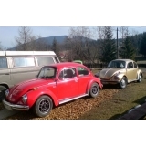 fot.Dominik