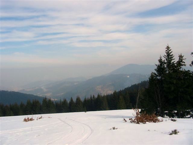 fot.Dominik