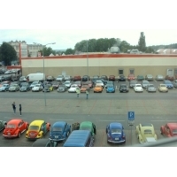 fot.Artek