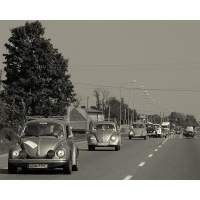 fot.Artek 083