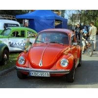 fot.Artek 164