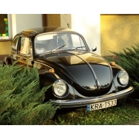 fot.Artek 168