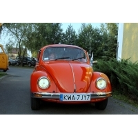 fot.Artek 169