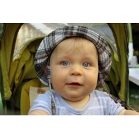 fot.Artek 230