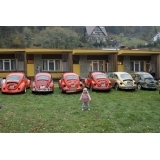 fot.Artek 126