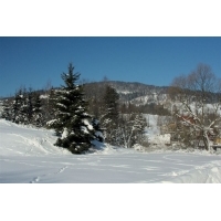 fot.Artek 034