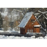 fot.Artek 035