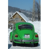 fot.Artek 087