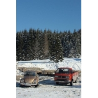 fot.Artek 286