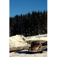 fot.Artek 287