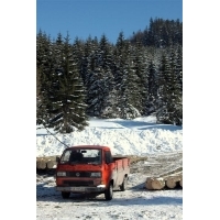 fot.Artek 288