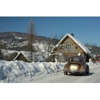 fot.Artek 291