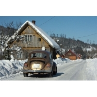 fot.Artek 293