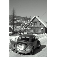 fot.Artek 294