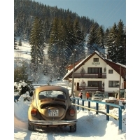 fot.Artek 297