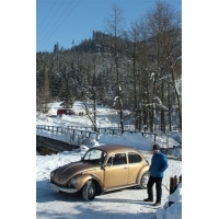 fot.Artek 302