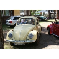 fot.Justyna Lasek