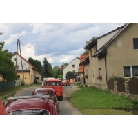 fot.Wajsu