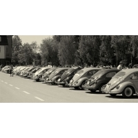 fot.Artek 031