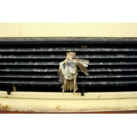 fot.Artek 120