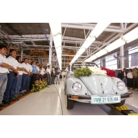 Last_20Beetle_7.jpg