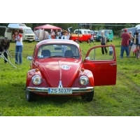 fot.Artek 233