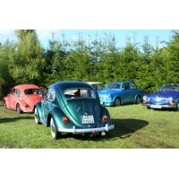 fot.Artek 250