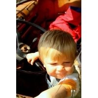 fot.Artek 314
