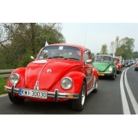 fot.Artek 047