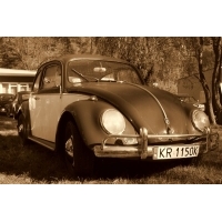fot.Artek 032