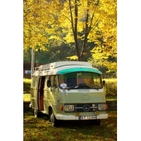 fot.Artek 066
