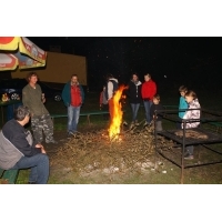fot.Artek 229