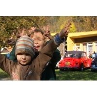 fot.Artek 258